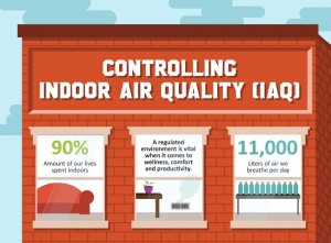 Air Quality Infographic