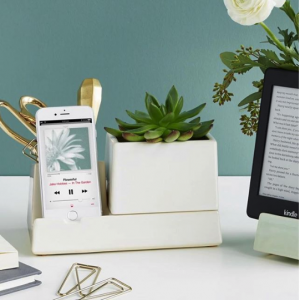 Phone holder and planter on a desk