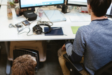 Man working on computer with dog