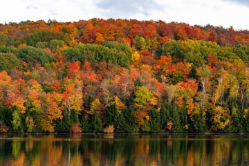 Autumn trees and a lake