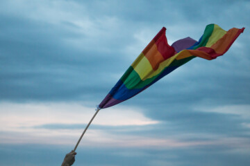 Rainbow flag waving against sky