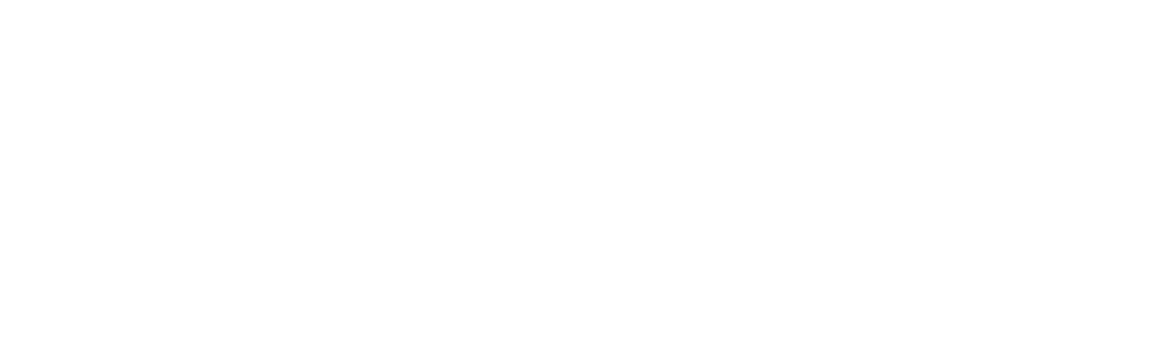 Mad Fish Digital Logo White